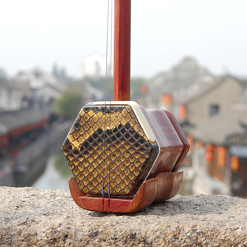 Professional Dunhuang Brand 06 - Musical Instrument All 评论和价格