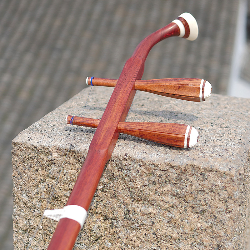 Professional Dunhuang Brand 06 - Musical Instrument All 评论和价格