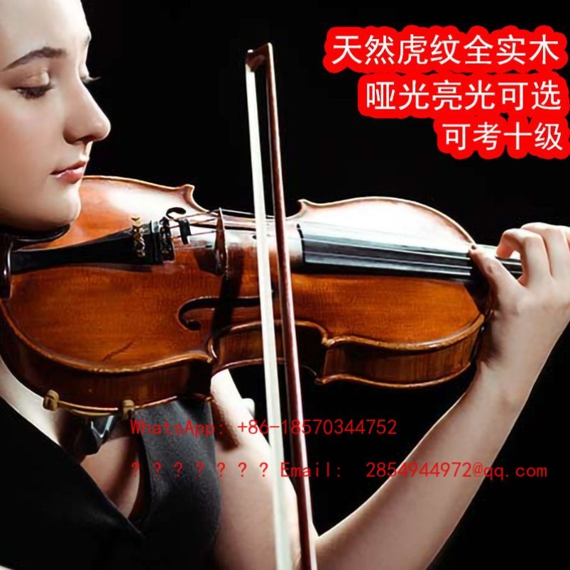 Professional Playing Grade Vio - Musical Instrument Net 评论和价格