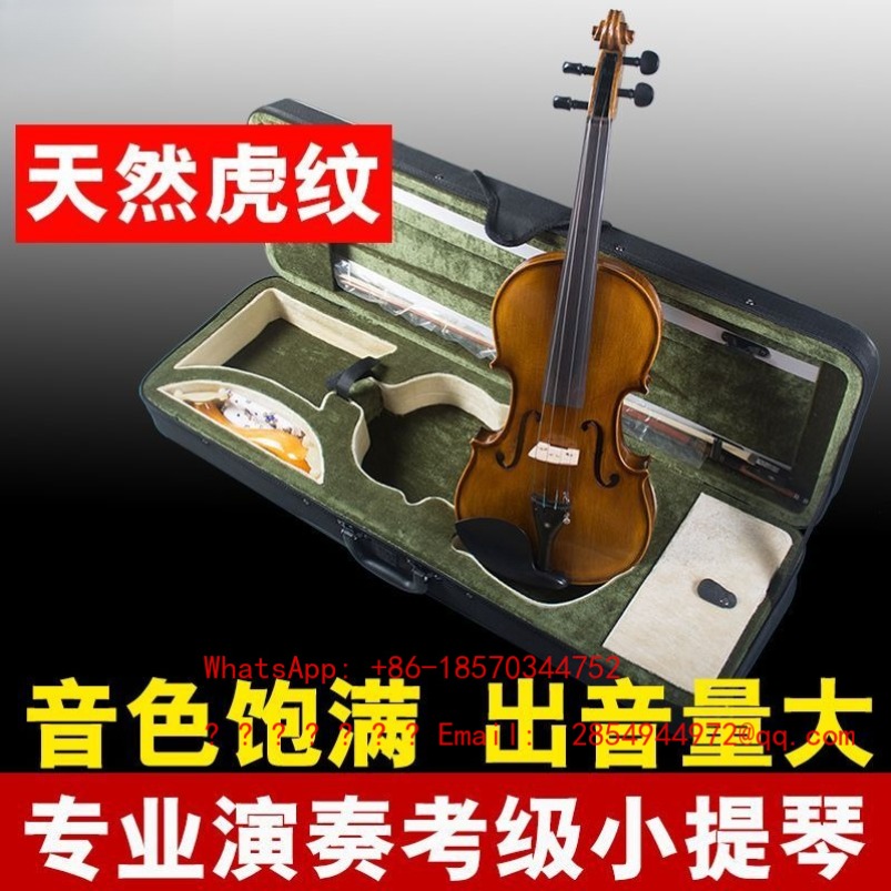Professional Playing Grade Vio - Musical Instrument Net 评论和价格